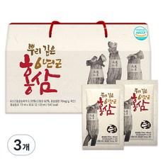 즙쟁이 뿌리 깊은 6년근 홍삼즙, 2.1L, 3개