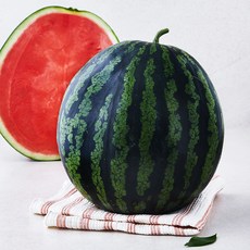 곰곰 고당도 수박, 8kg 미만, 1개 8kg 미만, 1개
