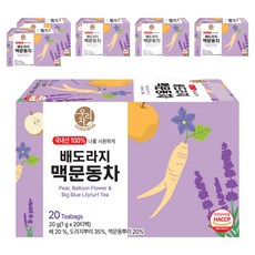 우리차 송원식품 배도라지 맥문동차 티백, 6개, 20개입, 1g