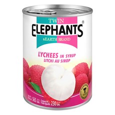 TWIN ELEPHANTS 雙象地球牌 糖水荔枝罐 565公克, 565g, 1罐