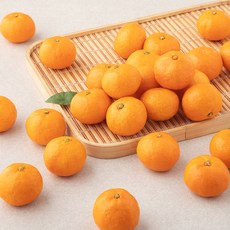 곰곰 제주 GAP 당도선별 감귤, 1.5kg, 1박스