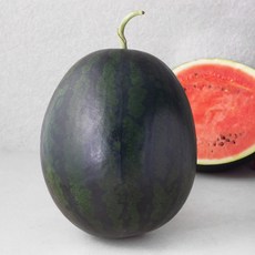 농협 흑미 못난이 수박, M(7kg 이상), 1개