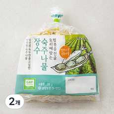 김구원선생 GAP 인증 숙주나물 장수, 200g, 2개