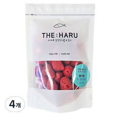 더하루 동결건조과일 딸기, 100g, 4개