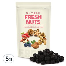 너트리 건블루베리, 200g, 5개