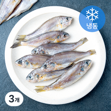 아라장 여수 참조기 10미 (냉동), 3개, 450g