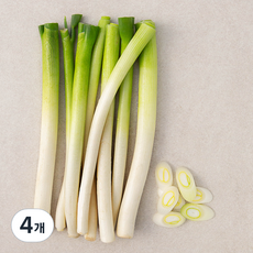 국내산 친환경 손질한 흰줄기 대파, 350g, 4개