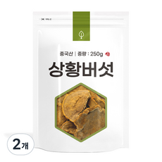 자연초 상황버섯, 250g, 2개