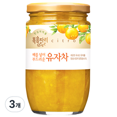 복음자리 배를 넣어 부드러운 유자차, 480g, 1개입, 3개