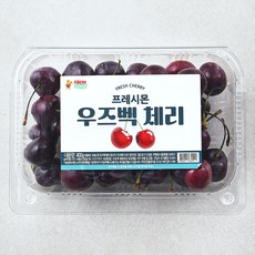 프레시몬 우즈베키스탄산 체리, 400g, 1개