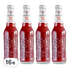 갈바니나 유기농 블러드오렌지 소다수, 16개, 355ml