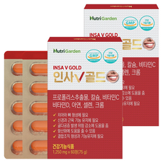 뉴트리가든 인사 V 골드, 2개, 60정