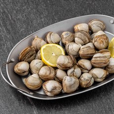 단디프레시 직접 손으로 채취한 서해안 갯벌 동죽조개, 800g, 1봉