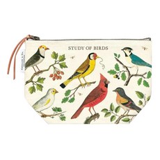 Cavallini 鳥類學收納袋 POUCH/BRD，精美鳥類圖案，輕巧便攜，多功能設計, 鳥類學