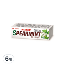 스피아민트 츄잉껌, 26g, 6개