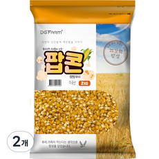 대구농산 건강한밥상 팝콘용 옥수수, 2kg, 2개