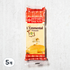 페이장브르통 에멘탈 포션 치즈, 250g, 5개