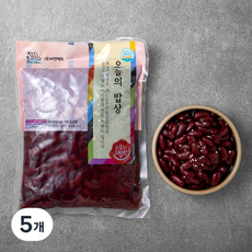 오늘의밥상 강낭콩, 1kg, 5개
