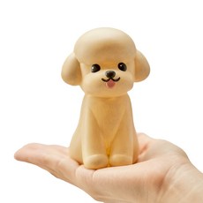 小狗著色 DIY 套件套組馬耳他語, 貴賓犬
