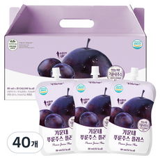 유기농마루 기운내 푸룬주스 플러스, 80ml, 40개