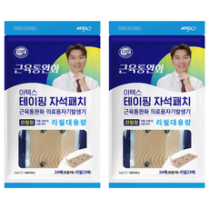 Artex 編帶磁性貼片接頭型+筆芯大容量, 24片, 2套