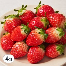 설향 딸기 대과 500g 4개 상품 이미지
