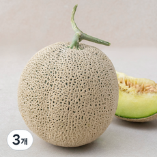 곡성농협 맘에쏙 당도선별 멜론, 2kg, 3개