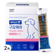 일동후디스 반려동물 후디스펫 구강케어 프로폴리스 160g, 비프맛, 2개, 치석제거