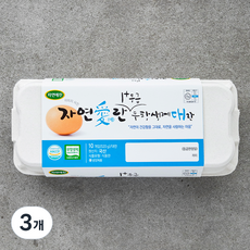 자연애찬 무항생제 1+등급 대란, 10구, 3개 3개