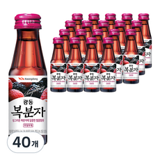 광동 복분자 음료, 100ml, 40개