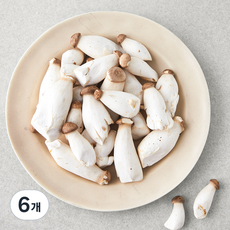 미니 새송이버섯, 300g, 6개
