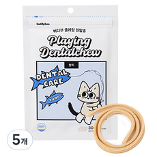 버디부 고양이 플레잉 덴탈츄, 30g, 5개, 참치맛