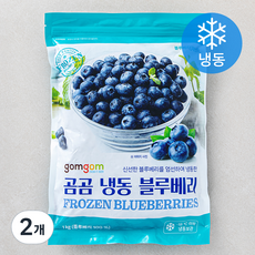 곰곰 냉동 블루베리, 1kg, 2개