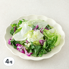 데일리 베이직 믹스 파우치 샐러드 채소, 80g, 4개, 1개입