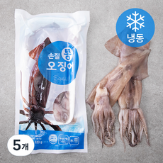 양포어장 손질 통오징어 중 2미 (냉동), 320g, 5개