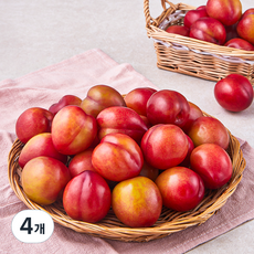 효성팜 꼬마 대석 자두, 1.5kg, 4개