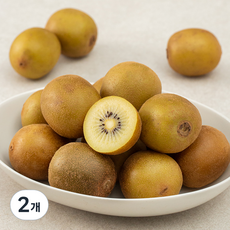 순천 꼬마 해금 골드키위, 2kg(28~35과), 2개