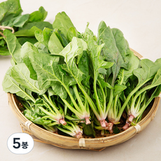 남해 시금치, 800g, 5봉