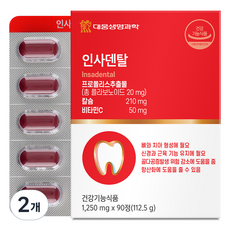대웅생명과학 인사덴탈 112.5g, 90정, 2개