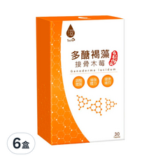 Tsuie 日濢 多醣褐藻接骨木莓膠囊, 含多醣體、接骨木莓、褐藻醣膠、紫錐菊萃取物, 調整體質，增強體力, 700mg, 30顆, 6盒