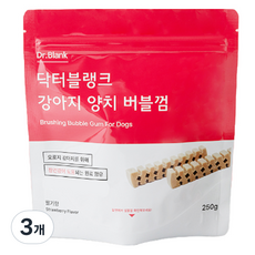 닥터블랭크 강아지 양치버블 덴탈껌, 딸기, 250g, 3개 - 윔지스덴탈껌