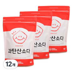 소다스쿨 과탄산소다, 12개, 1kg