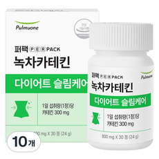퍼팩 풀무원 퍼팩 녹차카테킨 다이어트슬림케어 24g, 10개, 30정