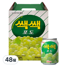 LOTTE 樂天 粒粒葡萄汁禮盒, 韓國原裝進口, 2.856公升 (238毫升 X 12罐), 238ml, 48罐