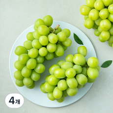 농협 강서시장 샤인머스캣, 4개, 2kg(3~4입)