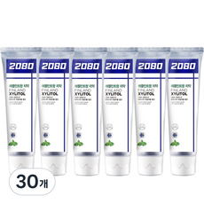 2080 애플민트향 자일리톨 치약, 120g, 30개