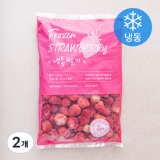 푸디즈 딸기 (냉동), 1kg, 2개