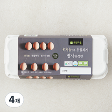 유정마을 유기농 인증 방사 유정란 1번란 520g, 10구, 4개 4개, 10구