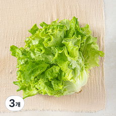 국내산 카이피라, 200g, 3개 3개, 200g