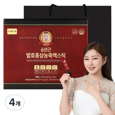 정원삼 6년근 발효 홍삼 농축액스틱 + 쇼핑백, 300g, 4개
